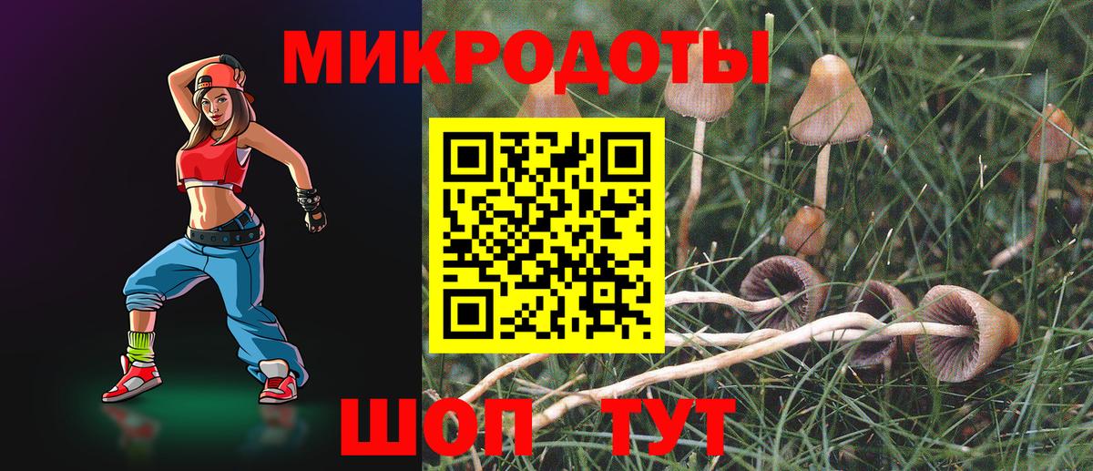 Галлюциногенные грибы мухоморы Соль-Илецк