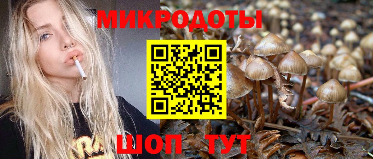 Соль-Илецк  Псилоцибиновые грибы Psilocybine cubensis  Вход с VPN 